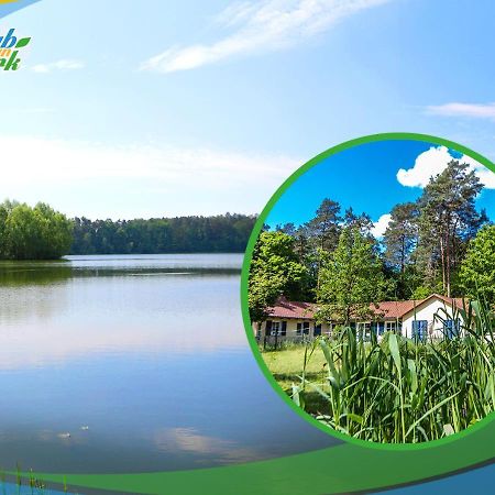 Jagd-Angler-Suite-03-Im-Wald-Am-See Куриц Екстериор снимка